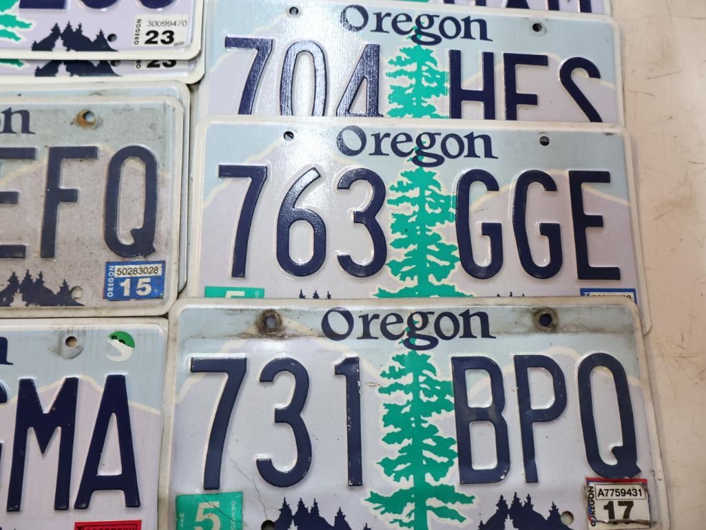 Collection of Oregon License Plates - 5