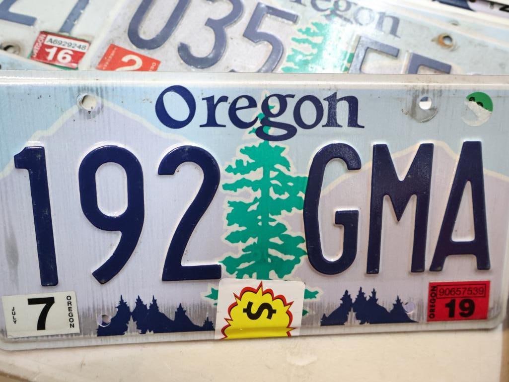 Collection of Oregon License Plates - 6