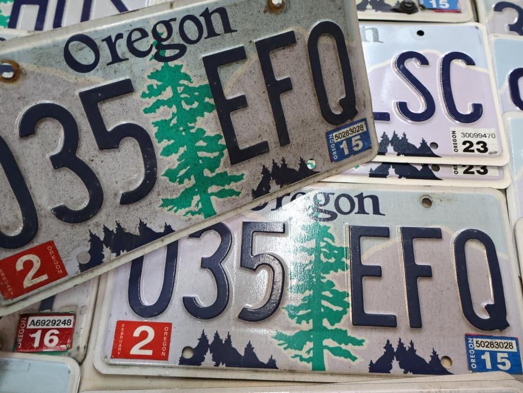 Collection of Oregon License Plates - 8