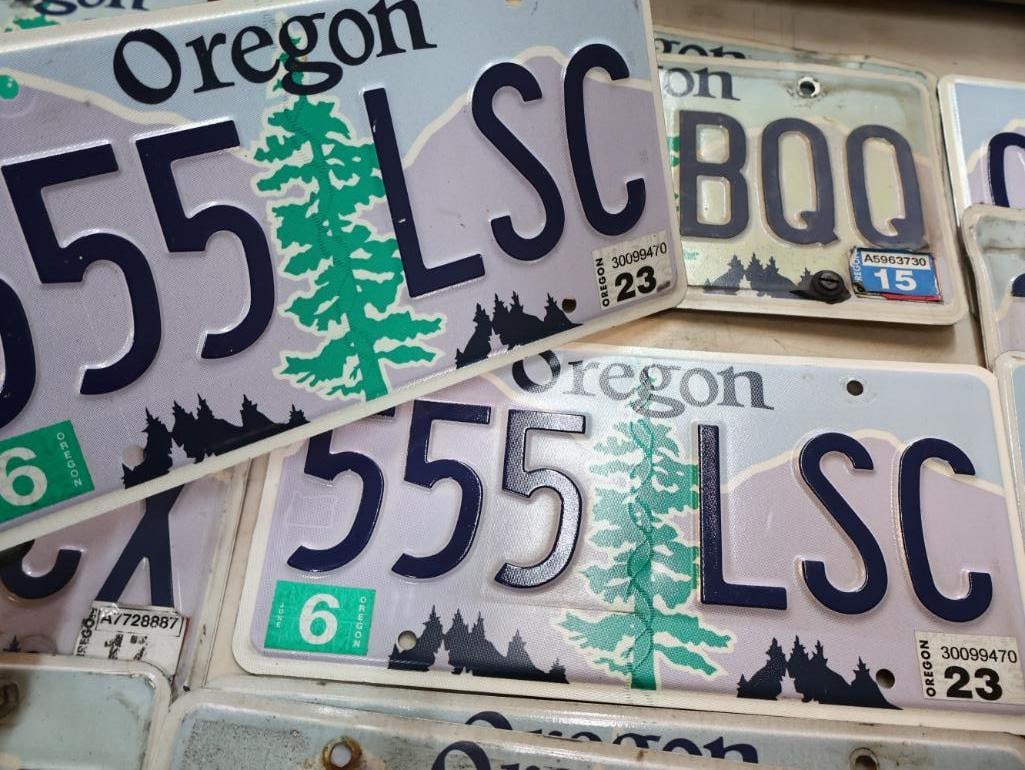 Collection of Oregon License Plates - 9