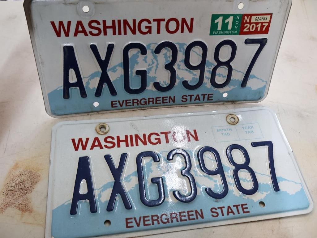 Collection of Washington Matched Pairs License Plates - 10