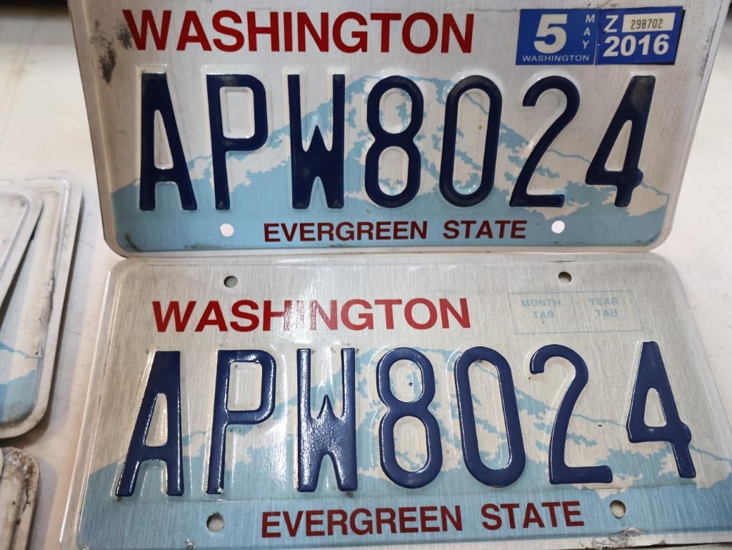 Collection of Washington Matched Pairs License Plates - 10