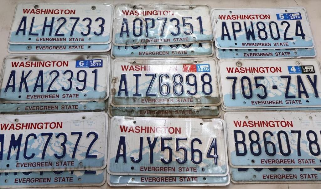Collection of Washington Matched Pairs License Plates: Includes nine matched pairs of license plates