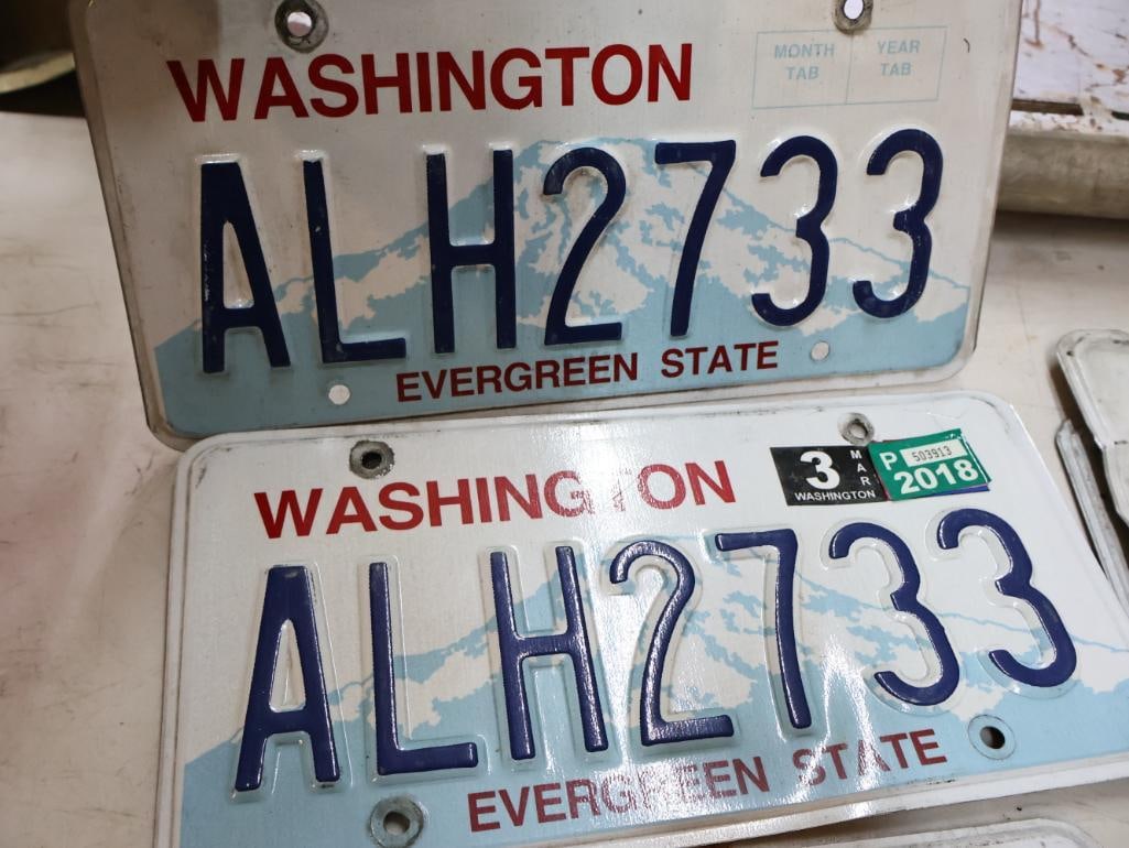 Collection of Washington Matched Pairs License Plates - 4