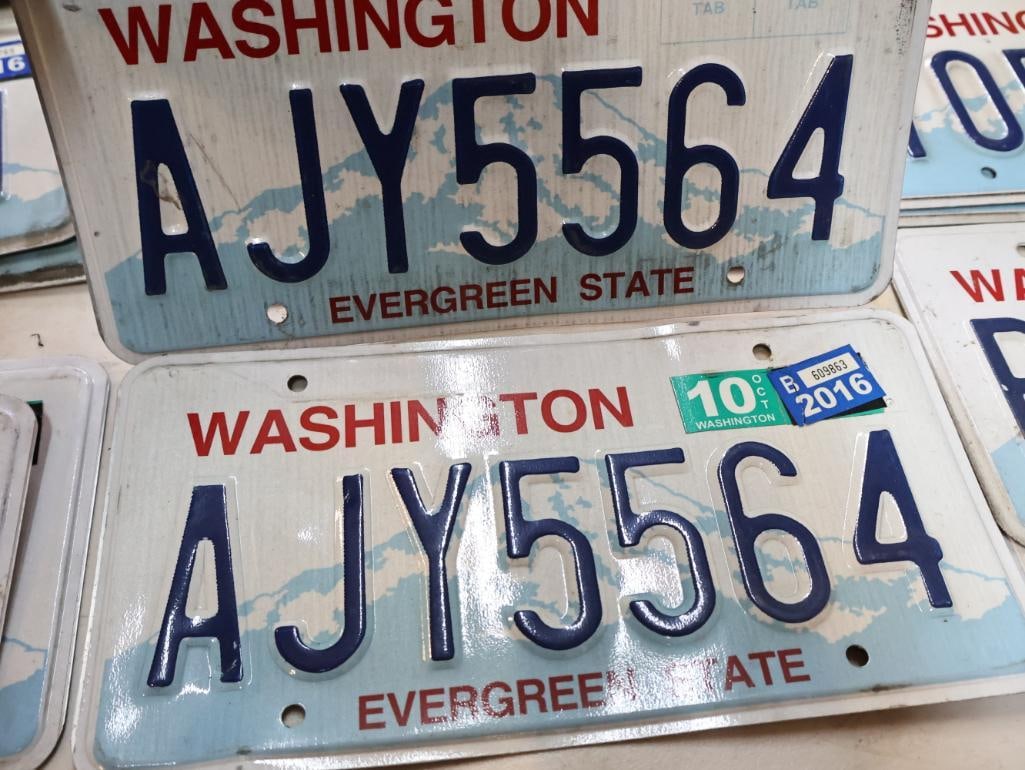 Collection of Washington Matched Pairs License Plates - 5