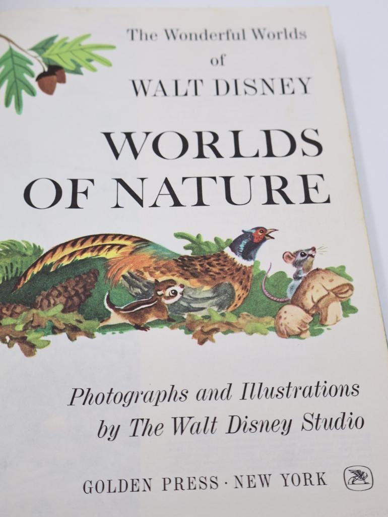 Vintage Disney Book Set and Vinyl Records - 16