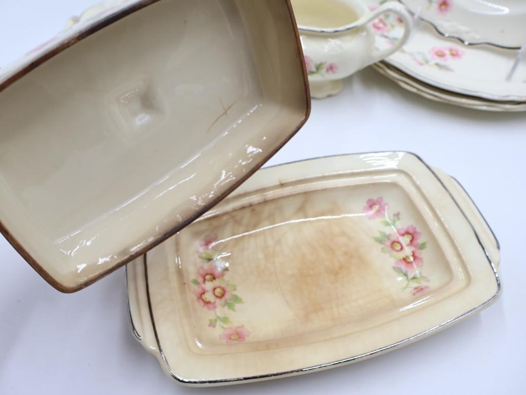 Vintage Homer Laughlin Virginia Rose Dishes - 19