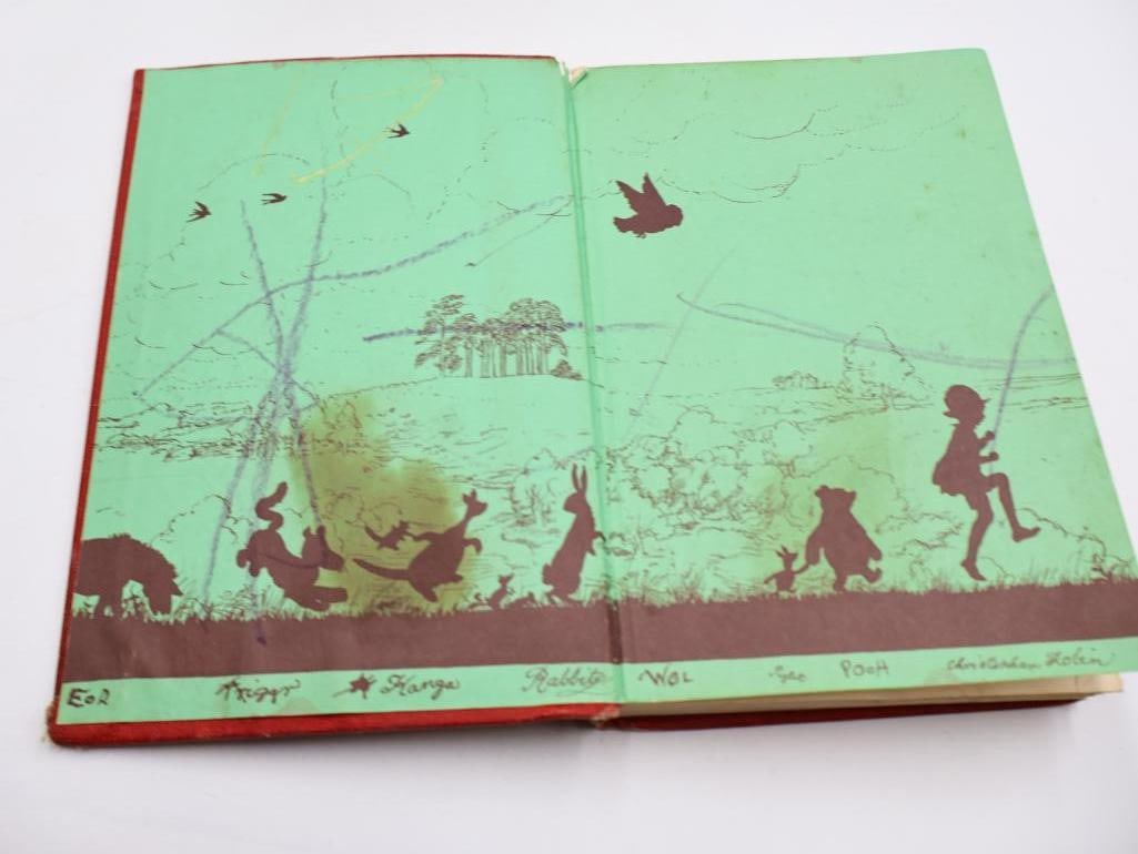 Collection of Various Vintage and Antique Books - 10