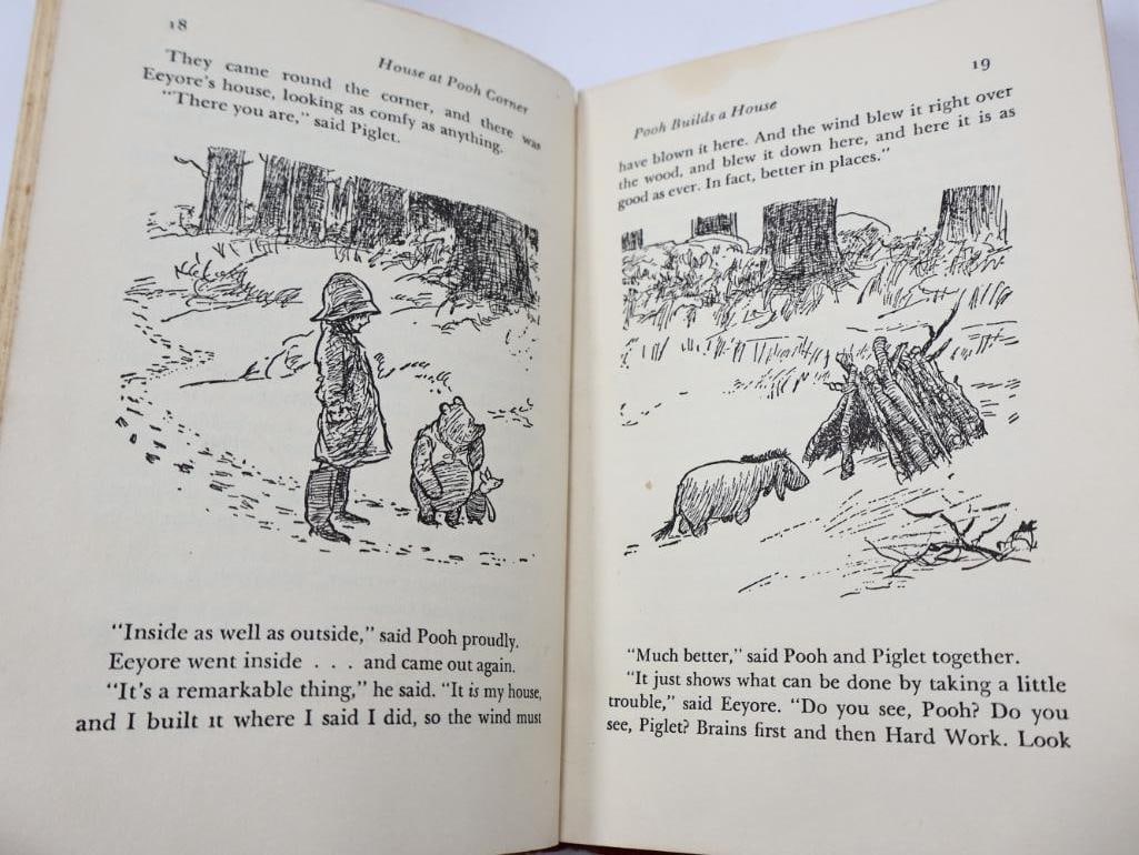 Collection of Various Vintage and Antique Books - 16