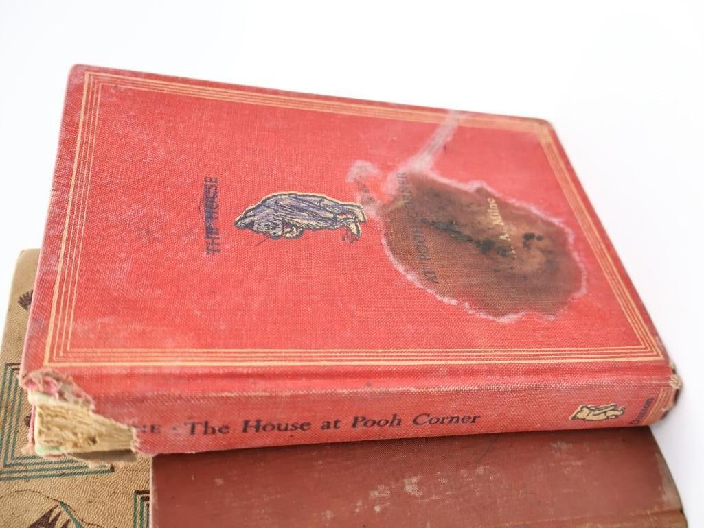 Collection of Various Vintage and Antique Books - 8