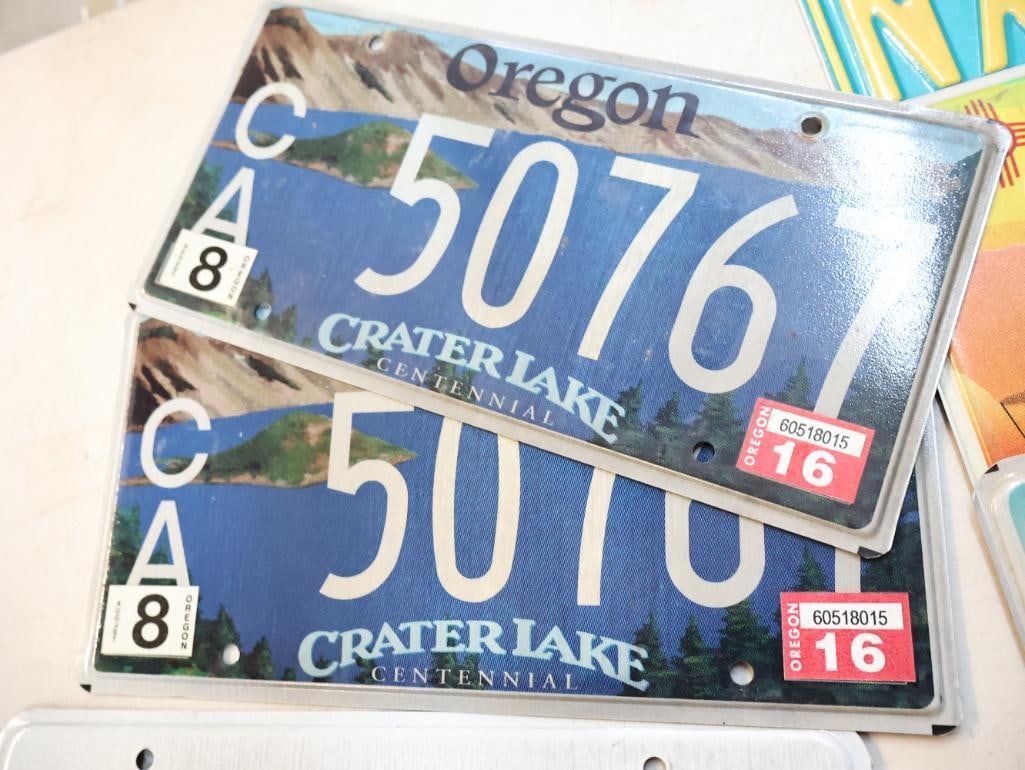 Collection of Western and Southwestern License Plates - 5