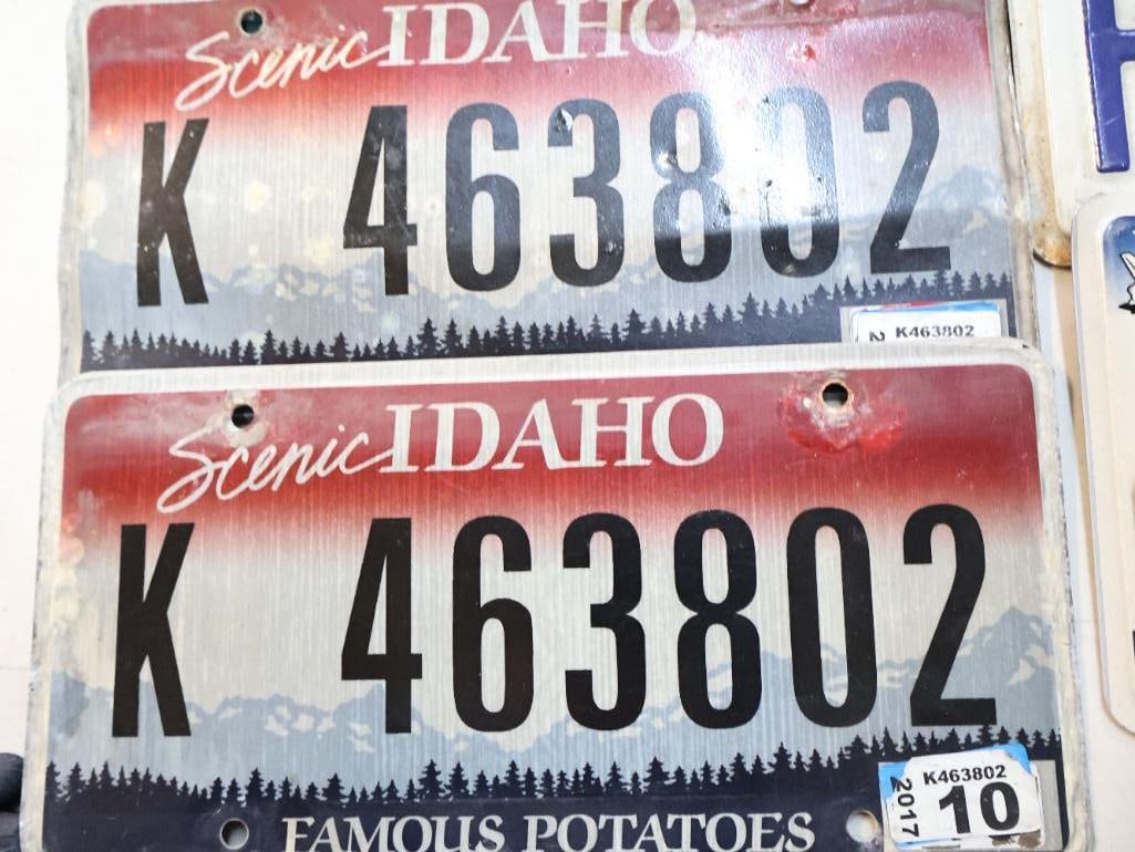 Collection of Western and Southwestern License Plates - 7