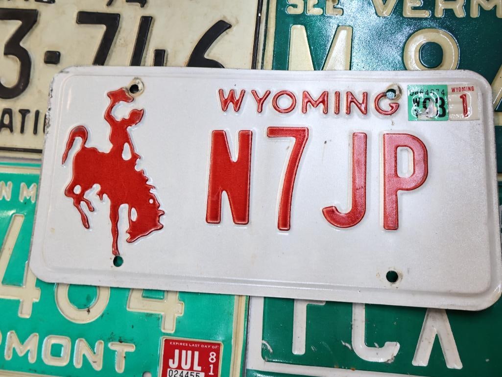 Collection of Various State Vintage License Plates - 2