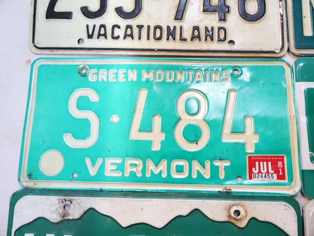 Collection of Various State Vintage License Plates - 4