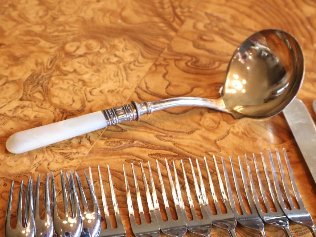 Antique Mother-of-Pearl Handled Flatware & Serving Utensil Collection - 12