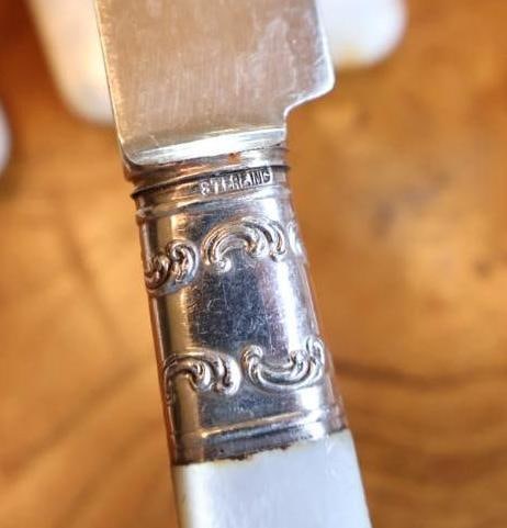 Antique Mother-of-Pearl Handled Flatware & Serving Utensil Collection - 14