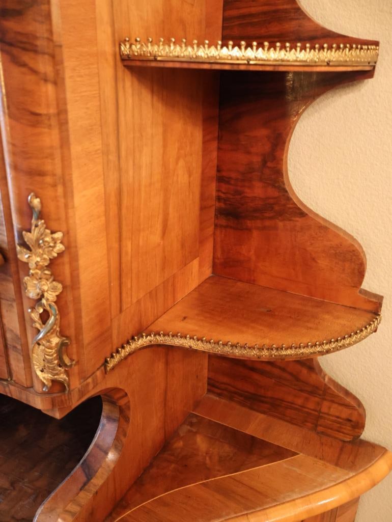 Antique 1890 Dresden Walnut Display Cabinet with Porcelain Painted Plaques and Gilt Brass Mounts - 11
