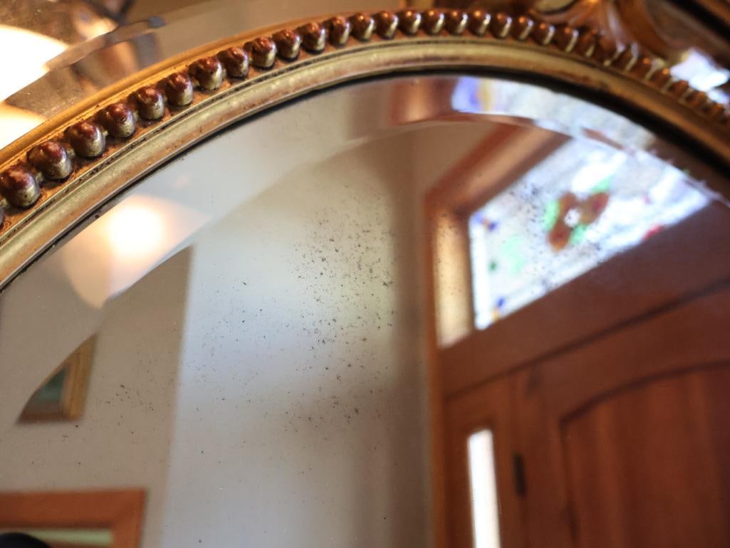Antique Large Ornate Gilt Louis XV Revival Rococo Style Bevel Mirror - 11