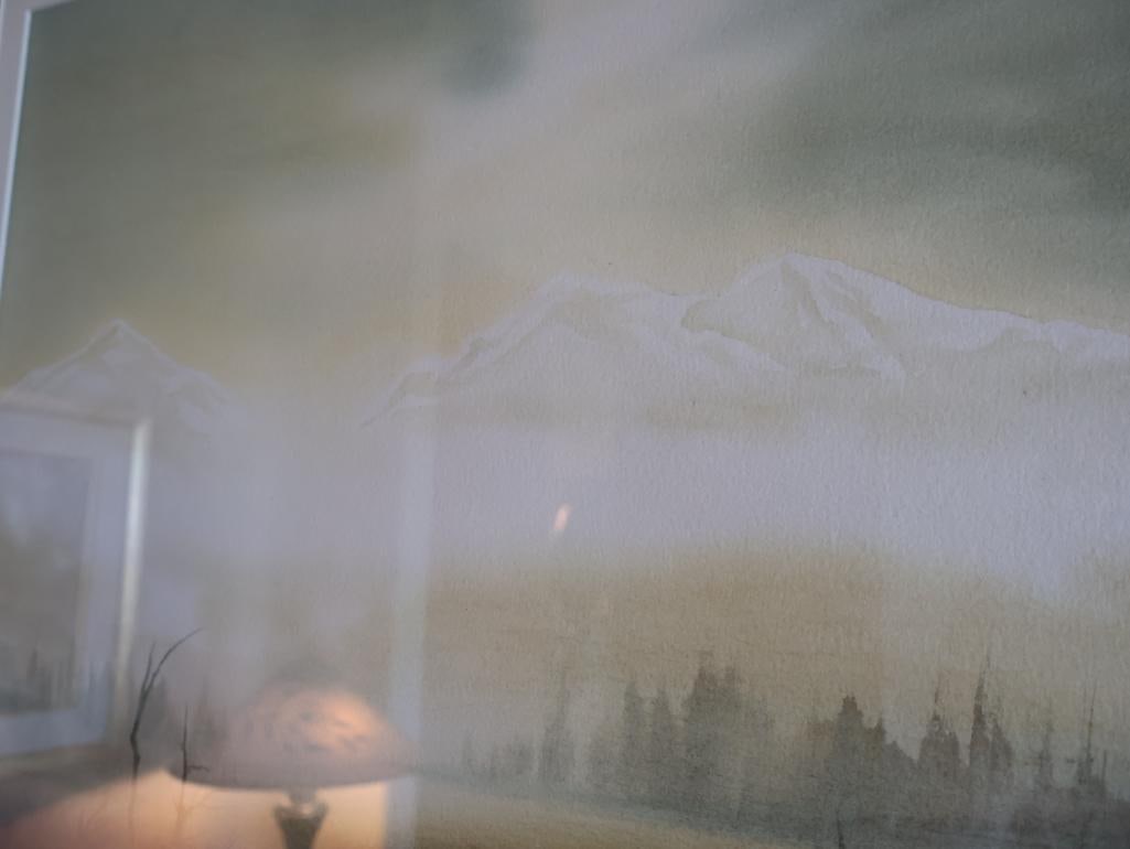 Large Watercolor By Don Zylius, Blue Heron Looking over the Three Sisters - 6