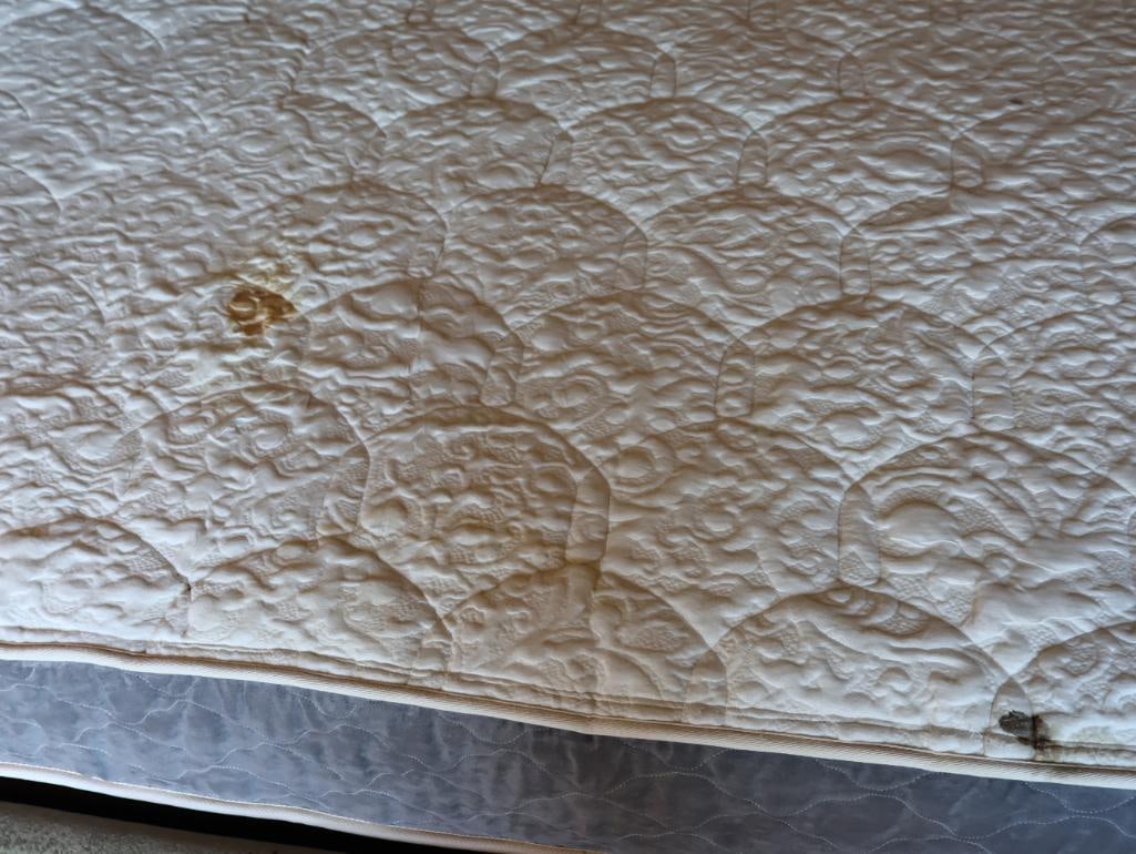 Sage Green Tufted Modern Queen Size Adjustable Bed Frame - 10