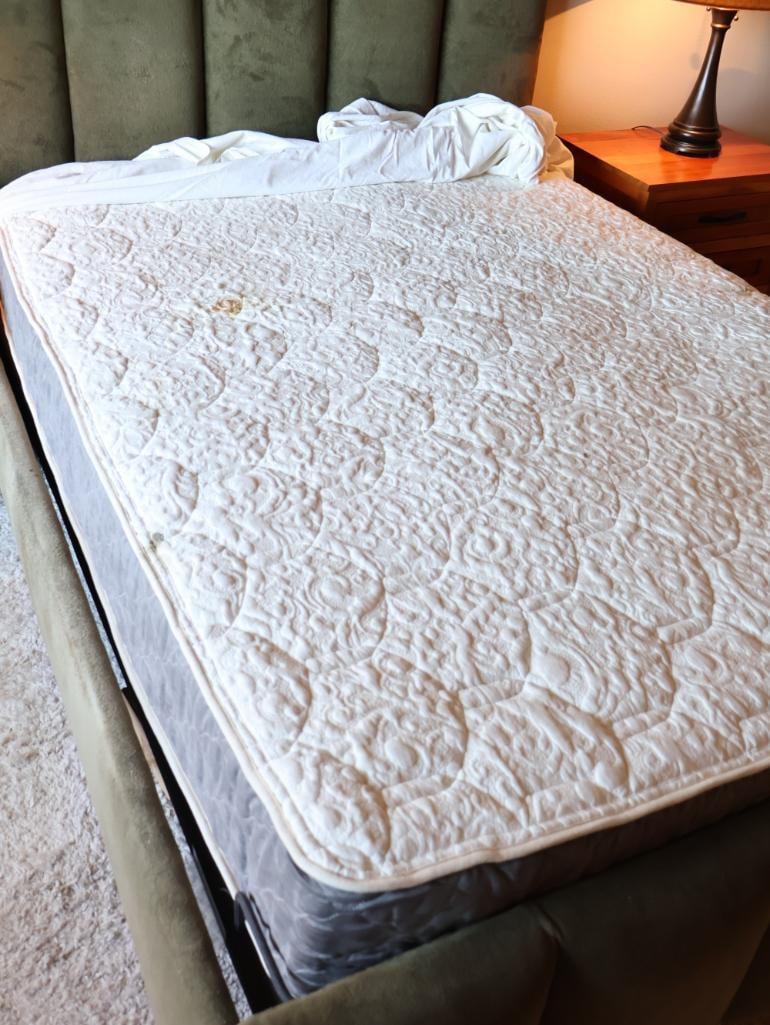 Sage Green Tufted Modern Queen Size Adjustable Bed Frame - 9
