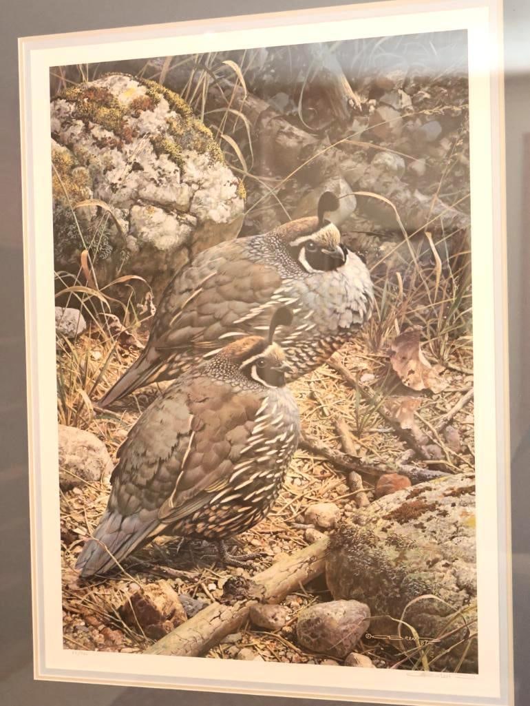 Pencil Signed Carl Brenders California Quail Numbered Print - 2