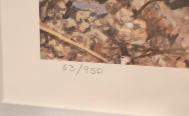 Pencil Signed Carl Brenders California Quail Numbered Print - 4