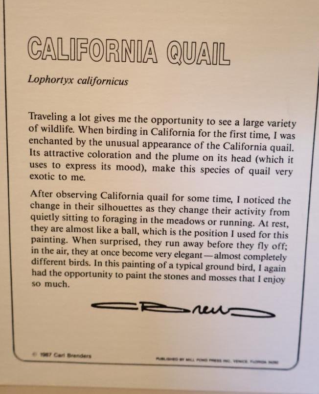 Pencil Signed Carl Brenders California Quail Numbered Print - 6