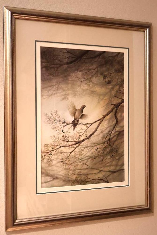 Medium Watercolor By Don Zylius, Mourning Dove in a Juniper Tree: Signed in corner with 'Zylius', who has lived and worked in Sisters, Oregon
