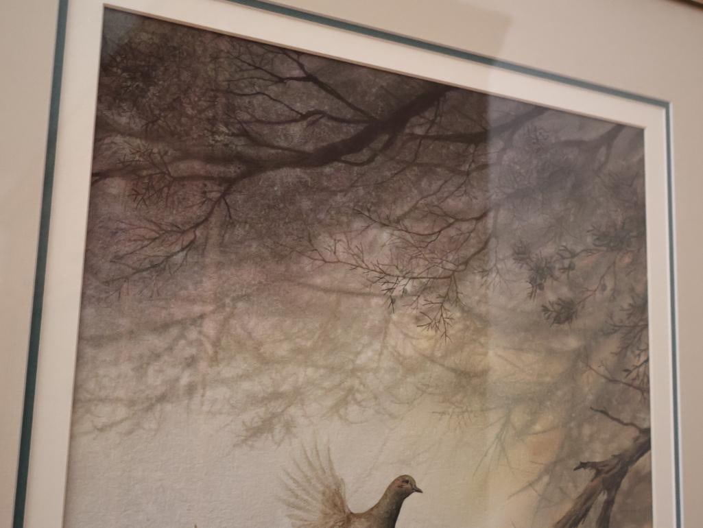 Medium Watercolor By Don Zylius, Mourning Dove in a Juniper Tree - 3