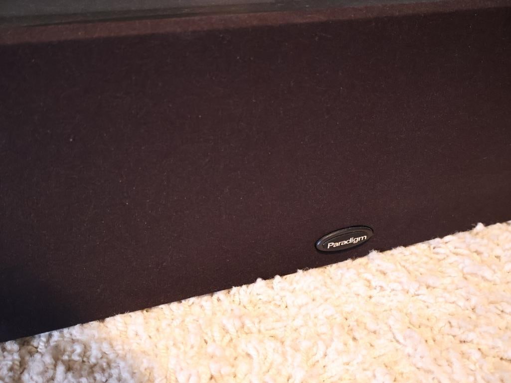 Paradigm Speakers and Velodyne DLS Subwoofer - 4