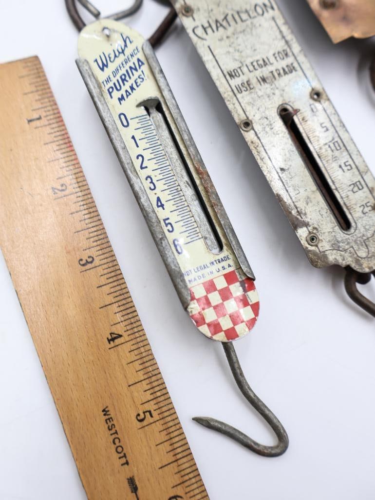 Antique Hanging Spring Scales and Pocket Balances Collection - 11