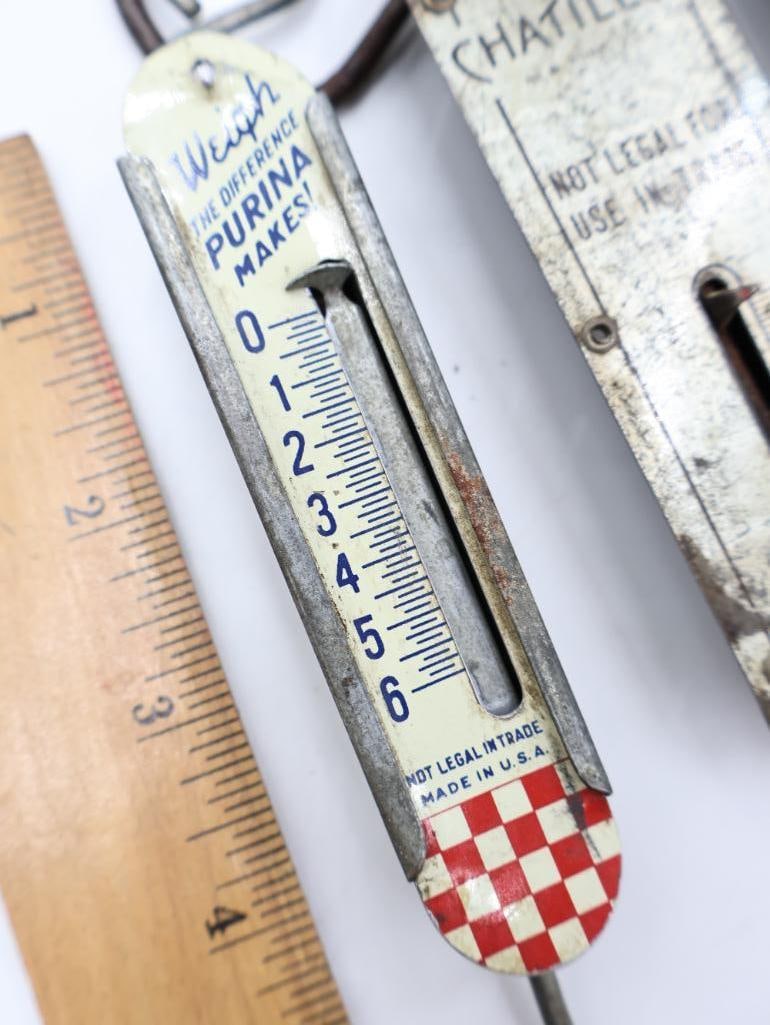 Antique Hanging Spring Scales and Pocket Balances Collection - 12