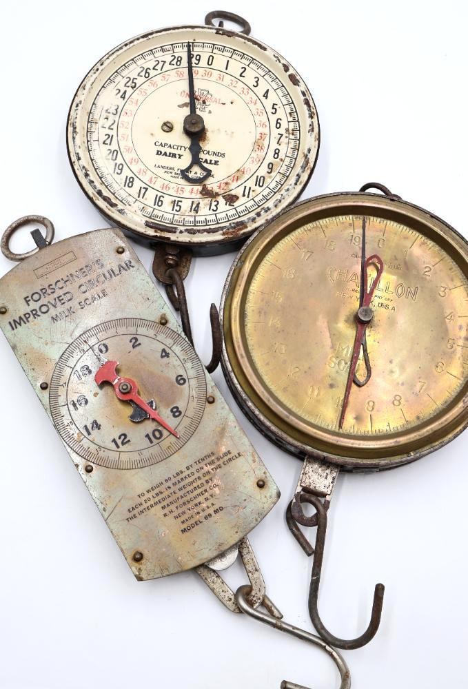 3 Vintage Hanging Dairy and Utility Scales Chatillon and Forschner (1 of 15)