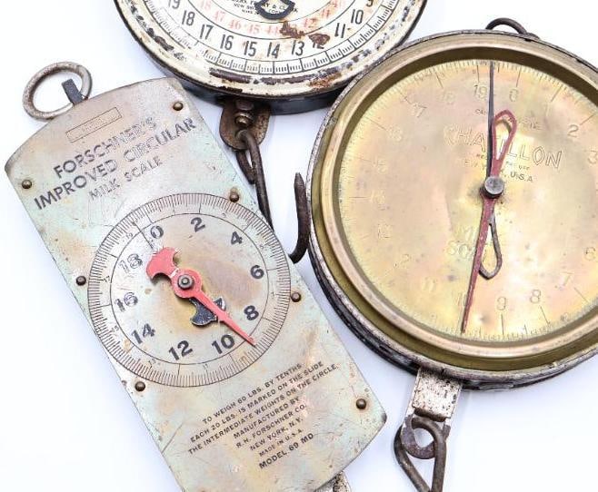 3 Vintage Hanging Dairy and Utility Scales Chatillon and Forschner - 7