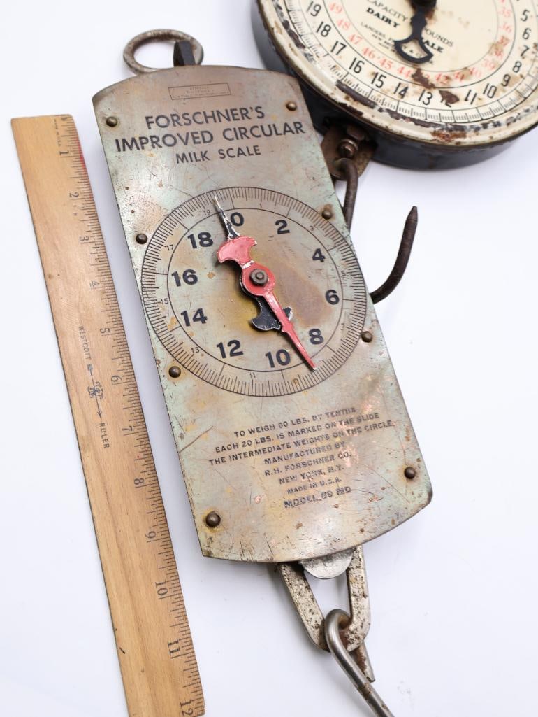 3 Vintage Hanging Dairy and Utility Scales Chatillon and Forschner - 8