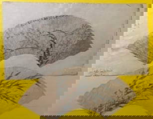 Two old Chinese Fan leaf  hand painted bamboo and flower: Size W: 20.5&rdquo; H: 9.5&rdquo;, Both of almost same shape