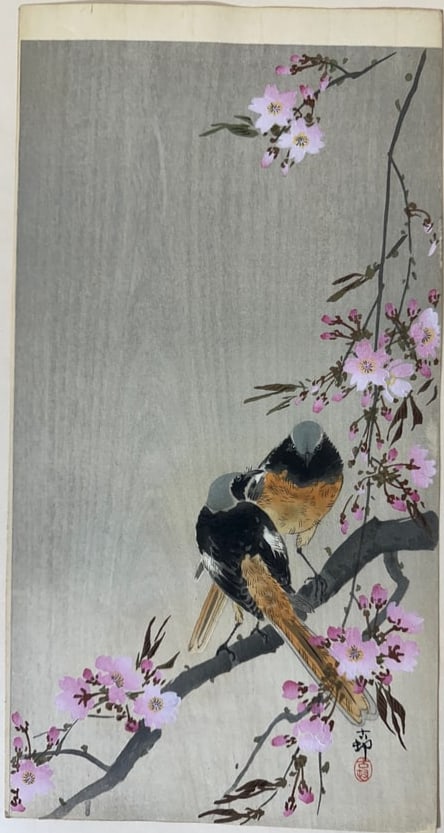 Ohara KOSON (1877-1945), Two Redstarts on Cherry Branch, Bird Print (1 of 4)