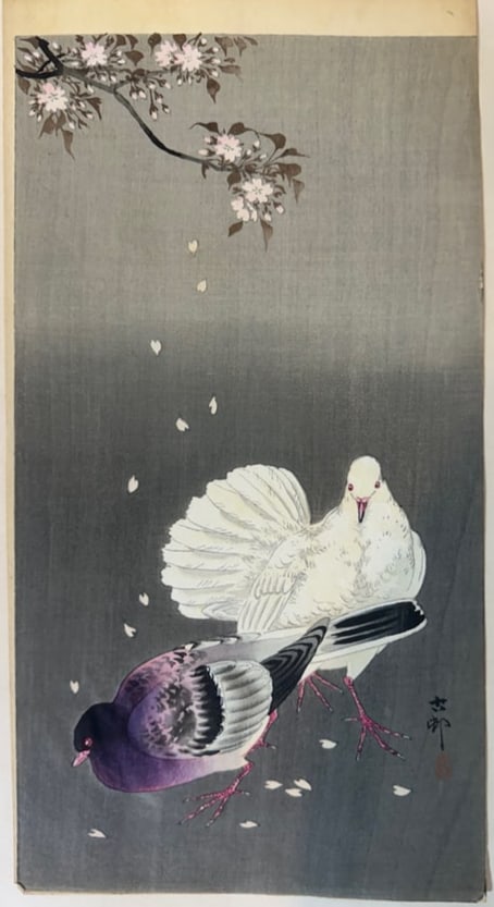 Ohara KOSON (1877-1945), Two Pigeons sitting between falling Cherry Blossoms (1 of 5)