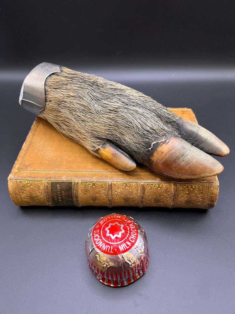 Wild Boar Hunting Trophy - 1929 (1 of 6)