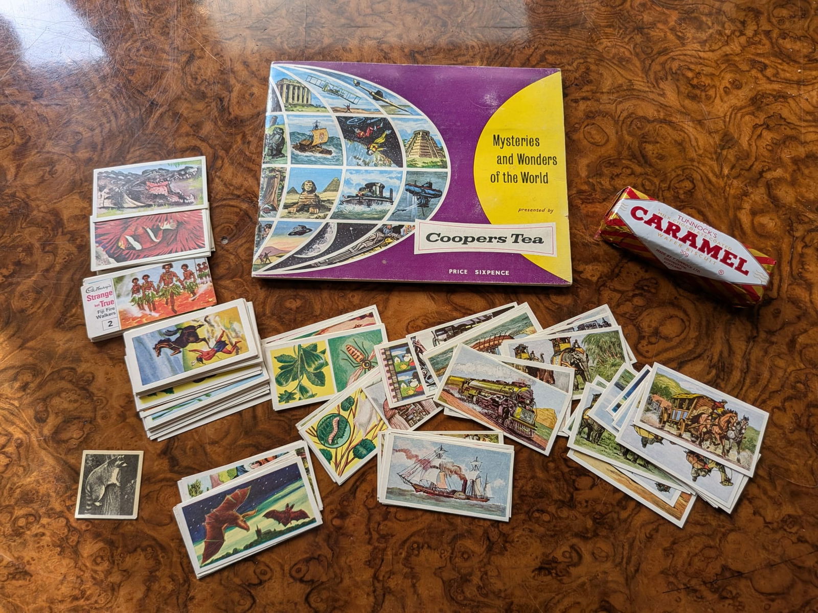 Small Schoolgirls Collectors Card collection (1 of 6)