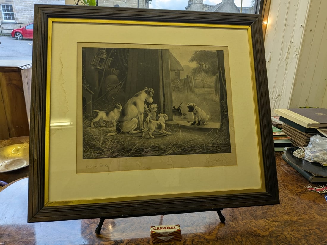 Large Etching - A Disgrace to his Family 1886: Drawn by Stanley Berkeley and signed by him, bottom left. A bitch with four of her puppies looking at another puppy, in doorway, who is covered in mud.