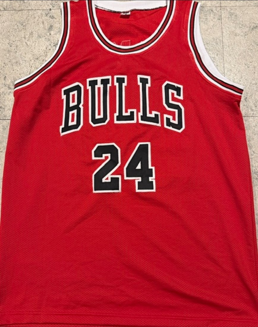 Brian Scalabrine Chicago Bulls Autographed & Ins Custom Basketball Jersey JSA Hologram - 3