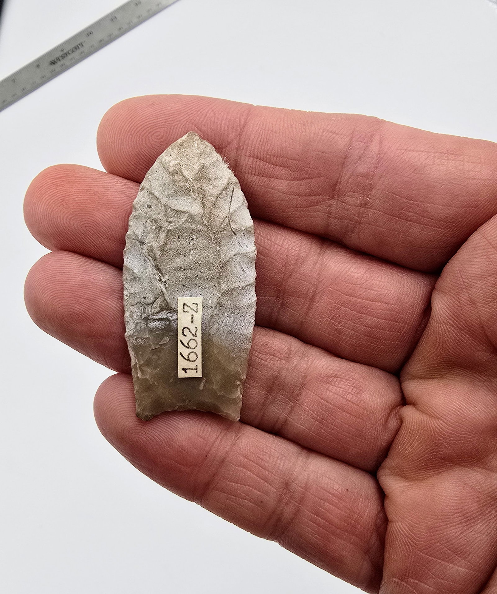 Fluted Folsom: A textbook example of a fluted Folsom, masterfully crafted from fine-grained chert and featuring a deep channel flake running up the center. The edges are delicately pressure-flaked, forming a symmetr