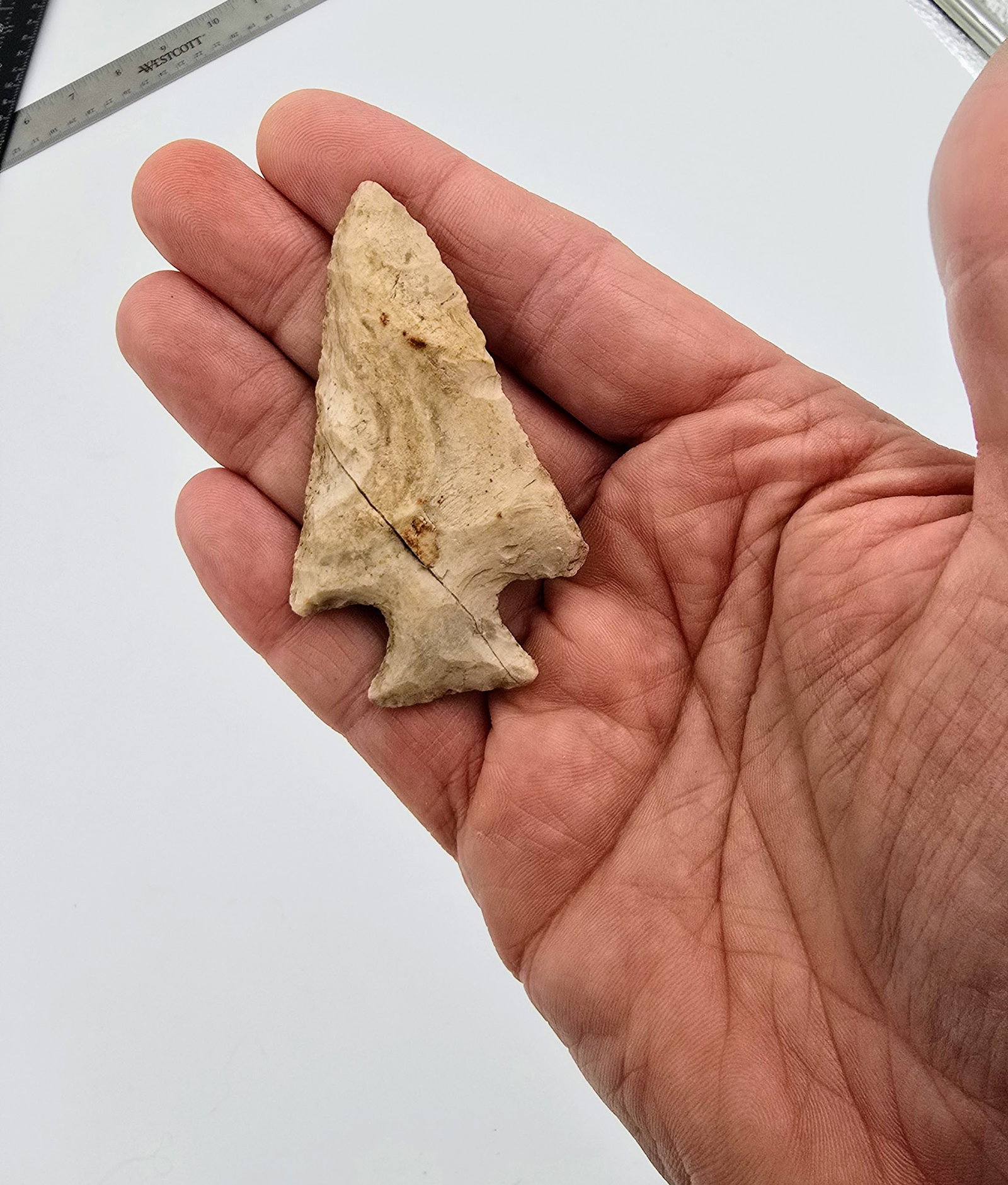Apple Creek: A broad, well-flaked Apple Creek point, made from creamy chert with distinct surface patina and an old crack across the midsection. This piece features characteristic expanding shoulders, deep corner 