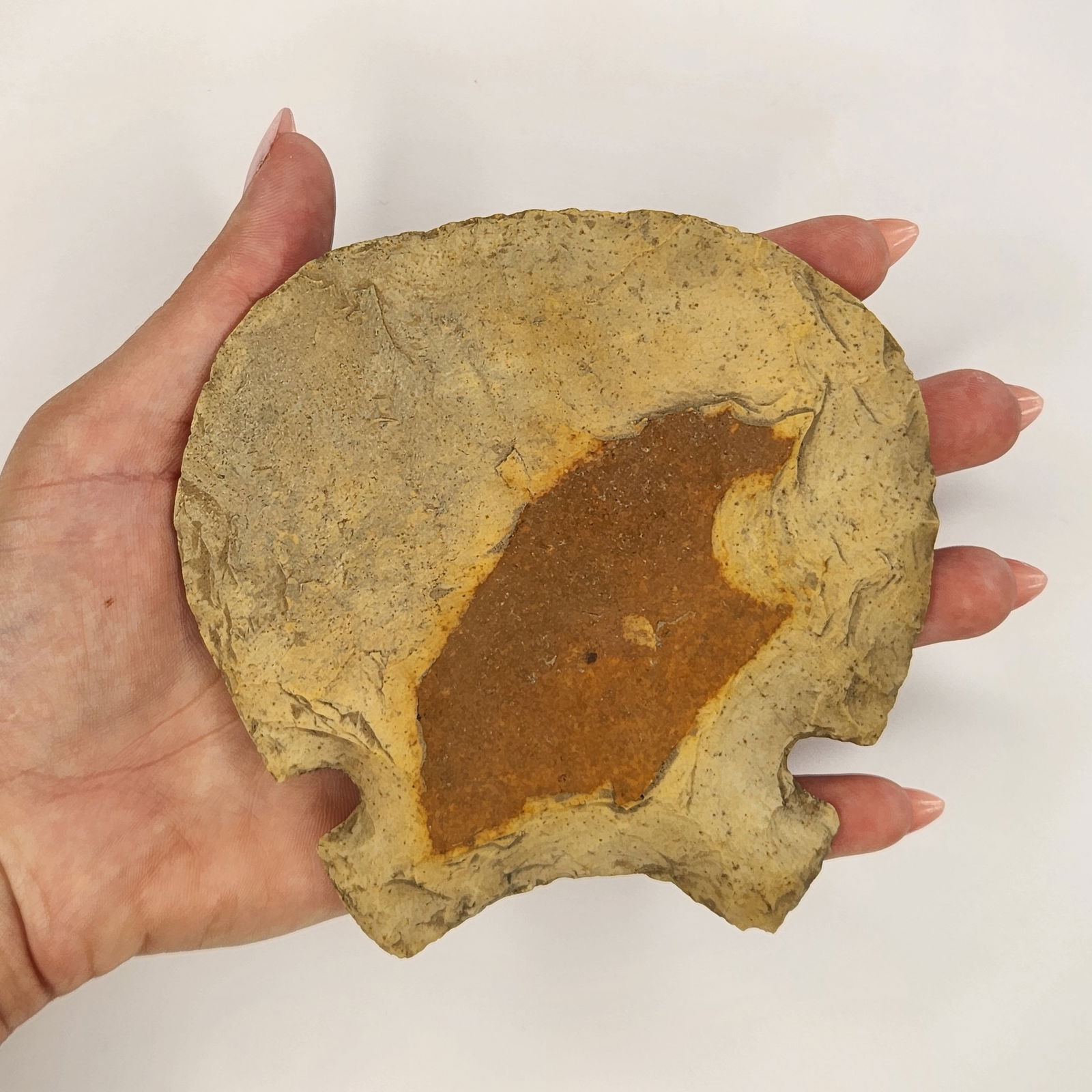 Notched Hoe (1 of 3)