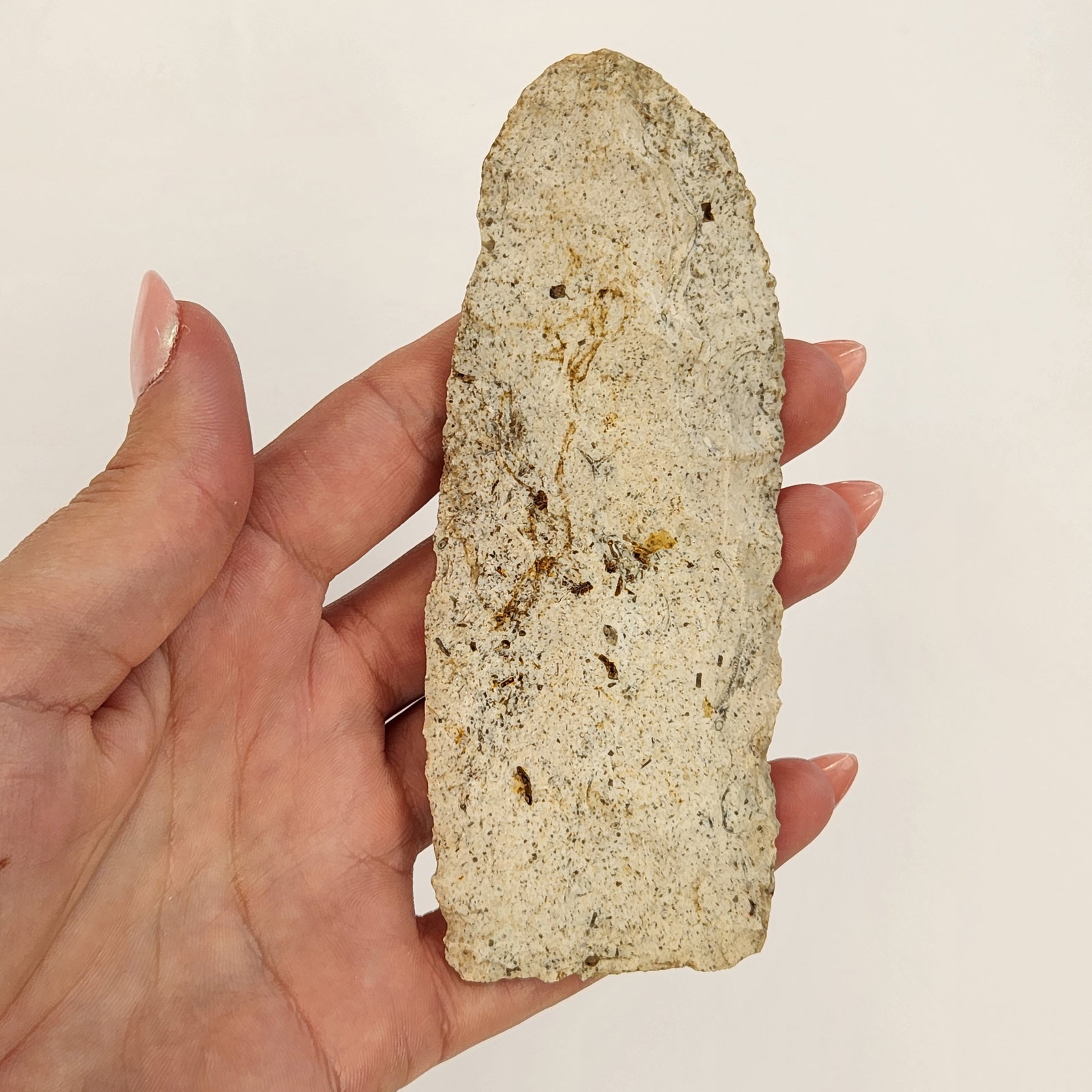 Wadlow Blade: Wadlow blade featuring a rectangular profile and weathered surface with visible grit inclusions.reference: native american, indian artifact, arrowhead, paleo, clovis, dalton.Dimensions 2.5x6