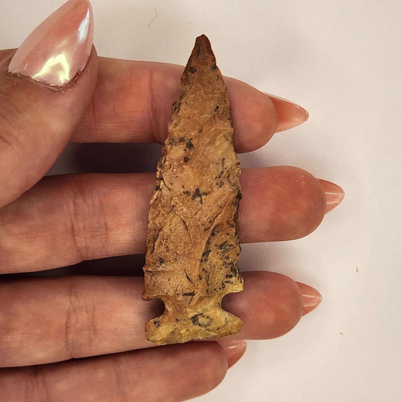 Cache River (1 of 3)