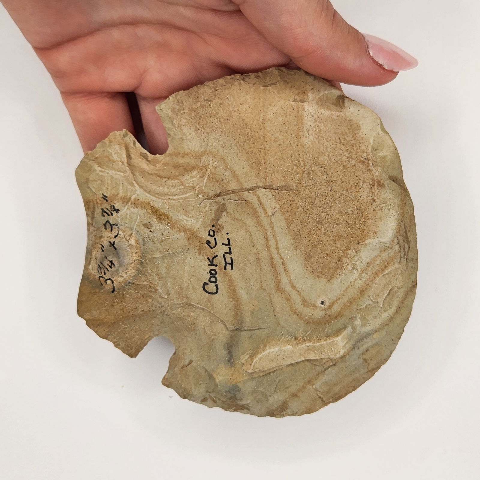 Notched Hoe (1 of 3)