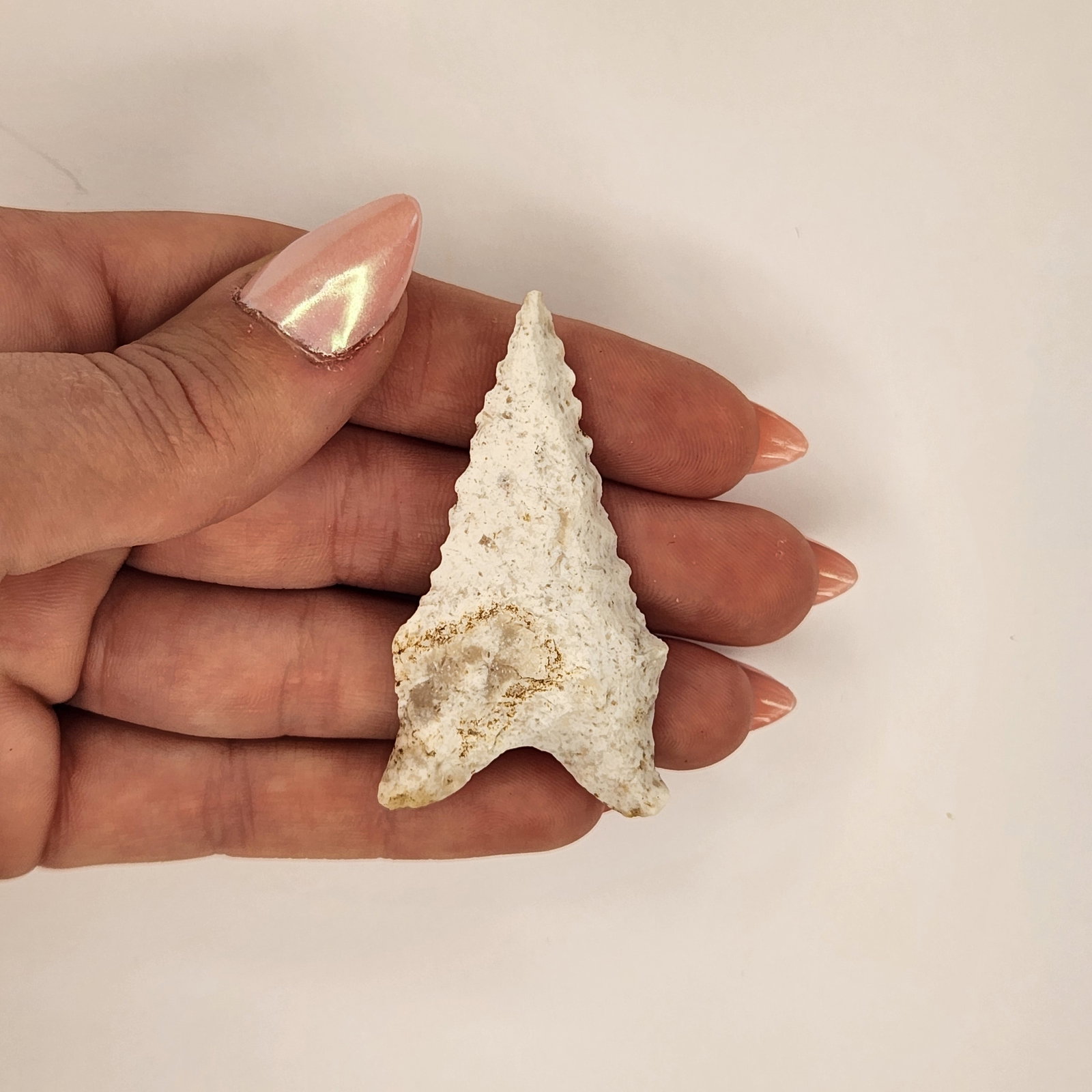 Dalton: Compact Dalton point with barbed shoulders and bifurcated base; pale surface with subtle mineral patina and fine detail.reference: native american, indian artifact, arrowhead, paleo, clovis, dalton, b
